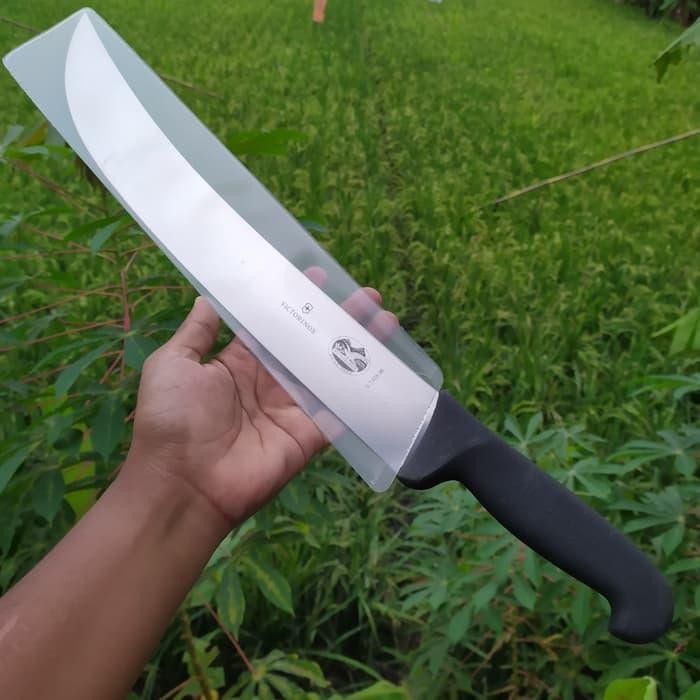 PREMIUM Pisau Sembelih Butcher Knife Victorinox 36 cm Lengkung (5.7303.36)