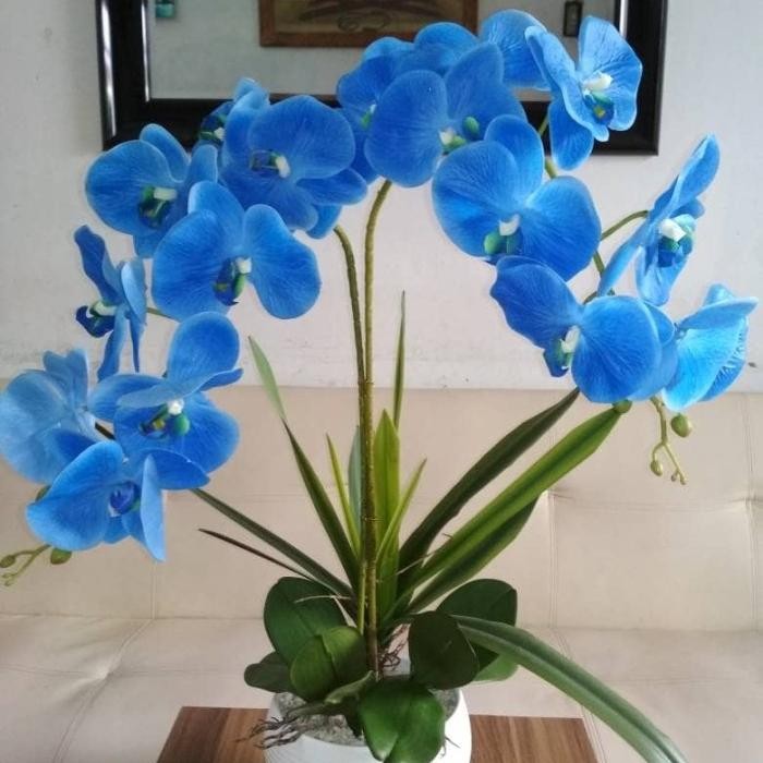 Bunga Anggrek Artificial Latex Import Premium - Biru