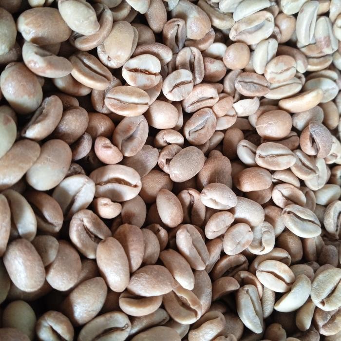 

Terlaris- Green Bean / Biji Kopi Arabika Anaerob Halu Banana 1 Kg