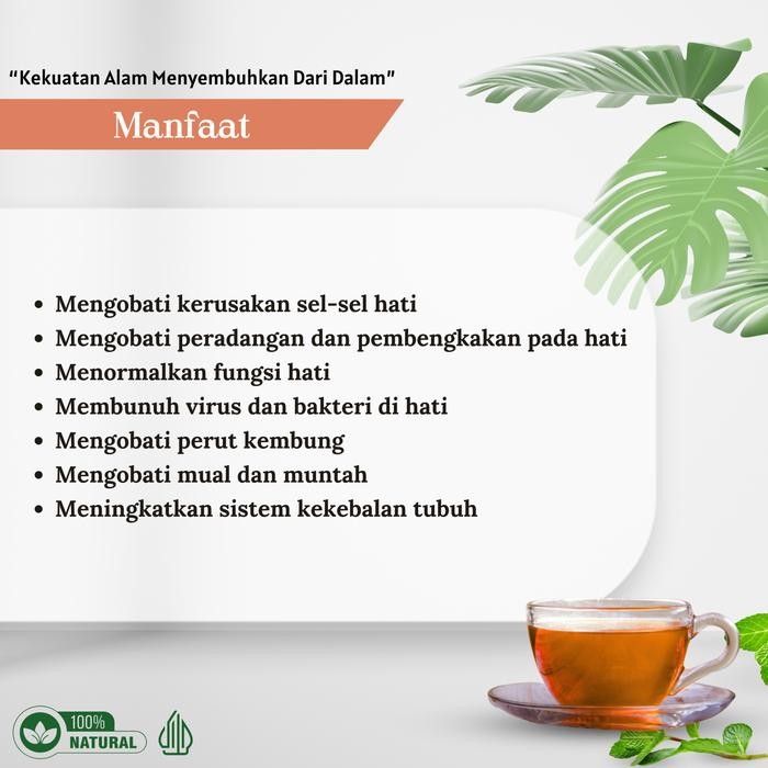 

Terlaris- Teh Celup Daun Meniran Obat Liver Hepatitis Hati Berlemak Penyakit Kuning Lemes Aman Ampuh