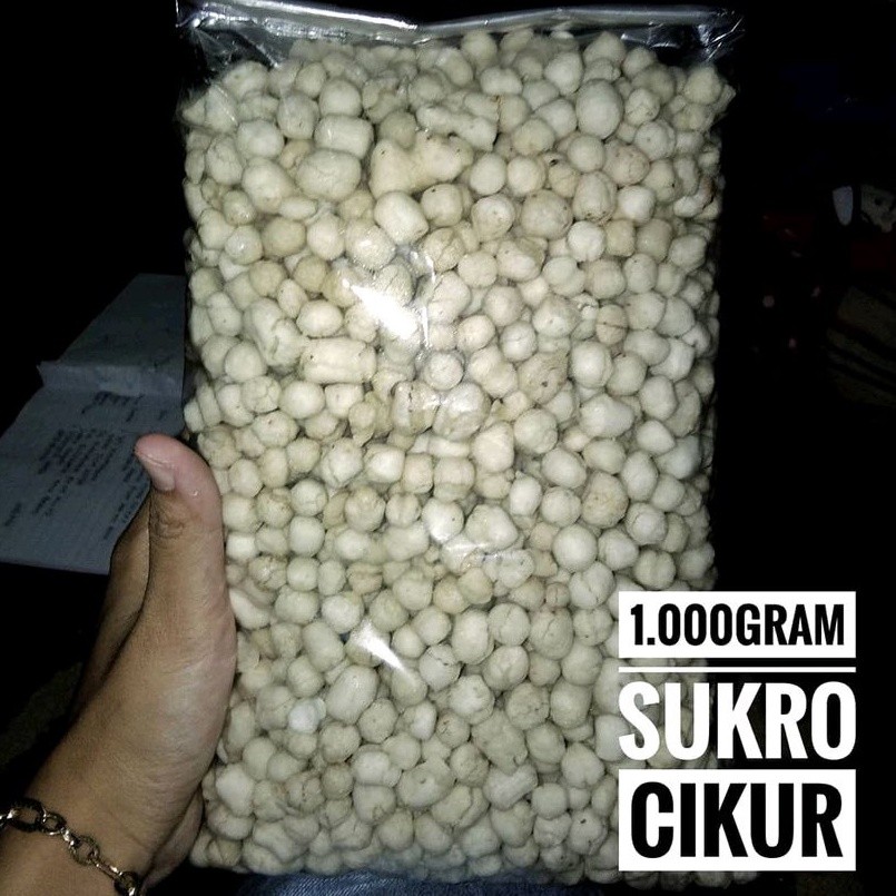 

Pilus Cikur 1kg Sukro Cikur Sari Rasa Murah Halal Higienis