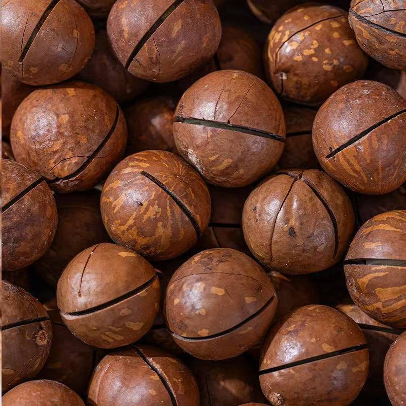 

[HALAL] kacang macadamia/kacang macadamia roasted/kacang macadamia panggang/kacang hawai/250g