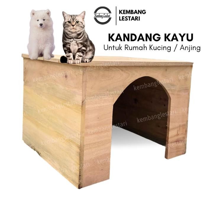 PREMIUM Rumah kucing kelinci kayu atap datar kandang kucing mainan hewan