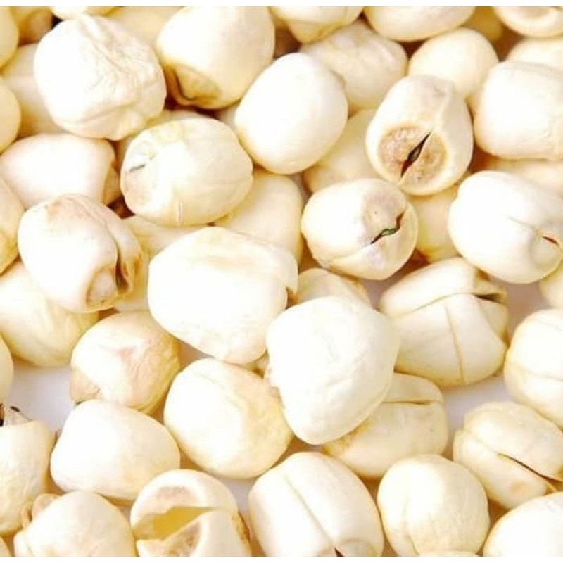 

biji teratai / lotus seed / lien zi import dari singapore 1kg