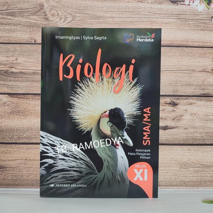

TERBARU!!! BUKU BIOLOGI SMA/MA KELAS XI KURIKULUM MERDEKA ERLANGGA READY
