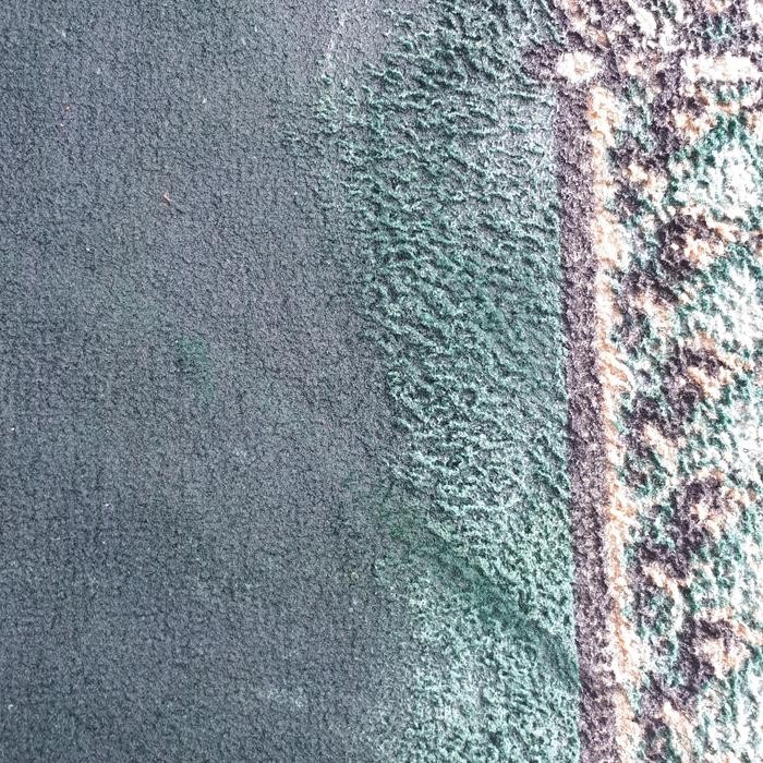 Mesin Sikat Karpet Sogis1