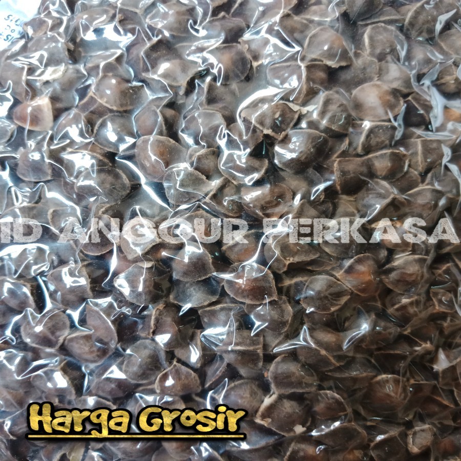 

500GR Biji Kelor Premium / La Mu Zi / Moringa - (Vaccum)