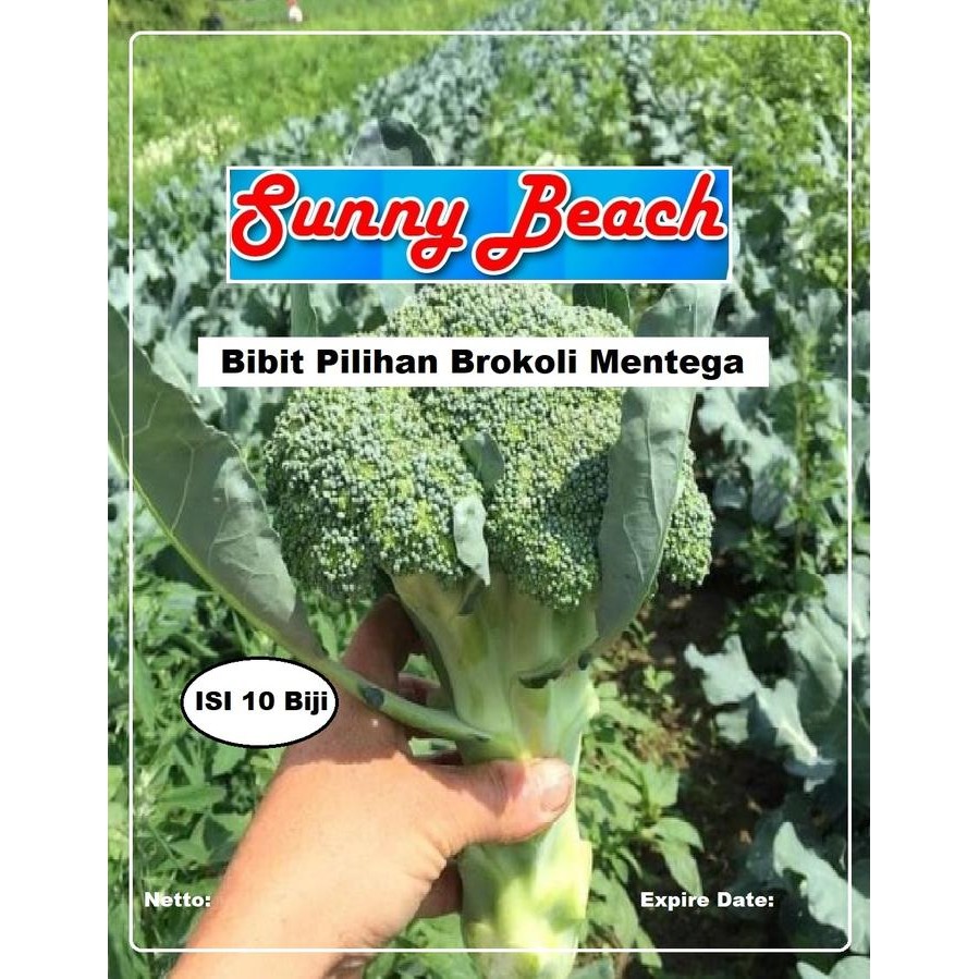 Bibit Pilihan Brokoli MentegaBiji Benih Brokoli MentegaSayur Brokoli
