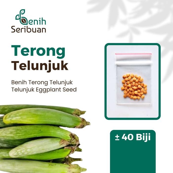 40 Bibit Terong Telunjuk Lurik Benih Sayuran Tunjuk Medan Unggul - Bibit Tanaman Sayur Seribuan