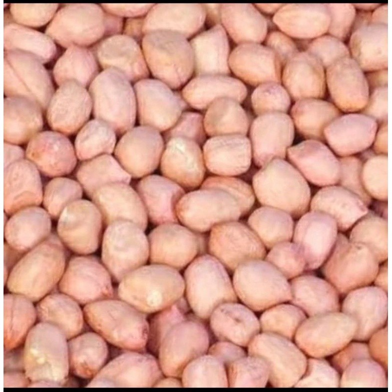 

1 kg kacang tanah india 1kg bumbu