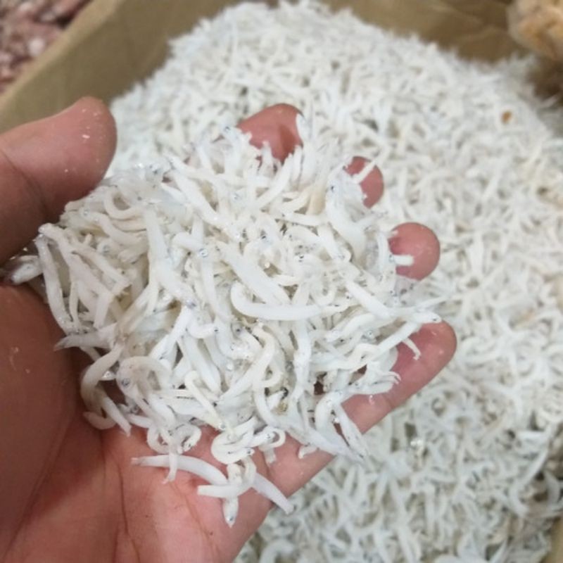 

ikan asin teri medan