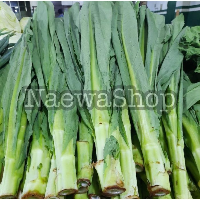 

JTTOP" FUMAK - KUMAK - KUMEK - FUMEK LEMBANG BANDUNG KUALITAS SUPER 500GERAM