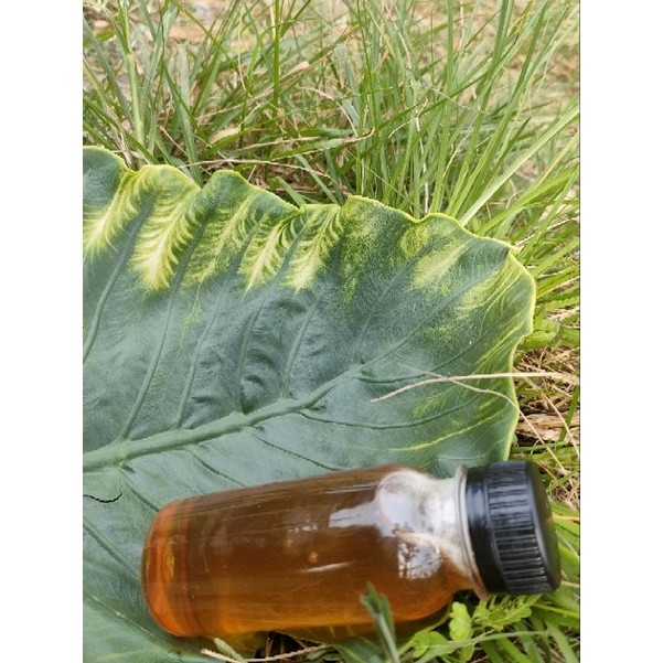 

Sega Tungtung Madu Murni Multiflora Asli 150 Gr Kemasan Ekonomis