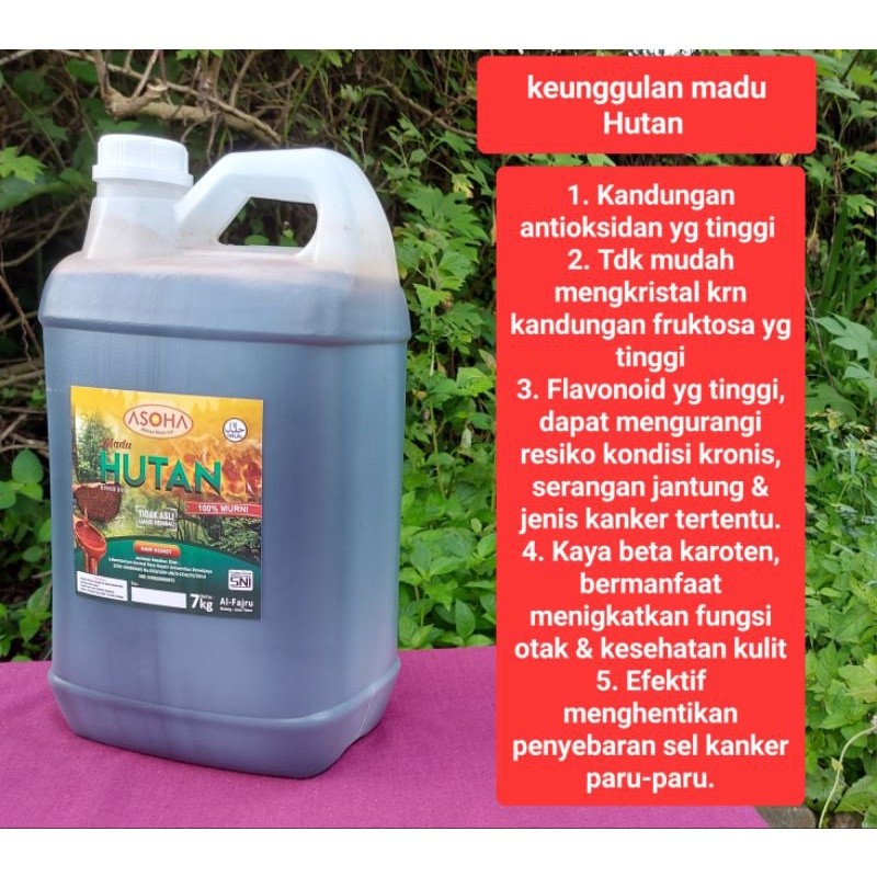 

Sega Tungtung Madu Hutan Asli 7Kg Harga Madu Asli Madu Murni Raw Honey Organic - No Tipu-Tipu - Madu