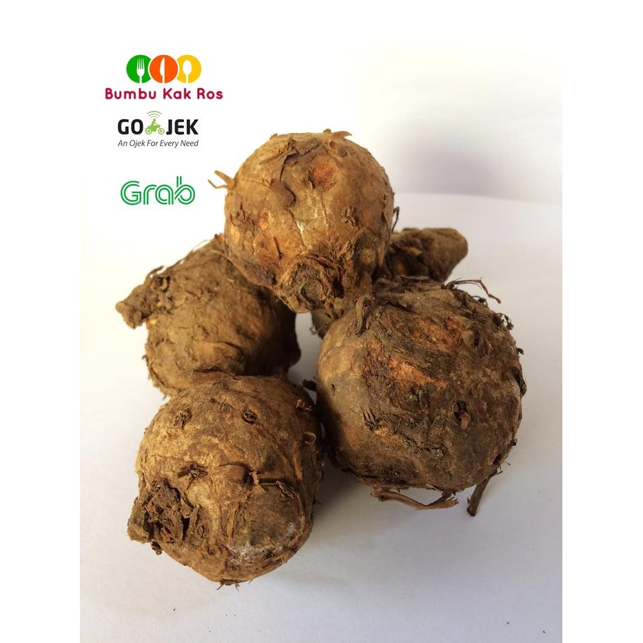 

Terlaris Biang Kunyit