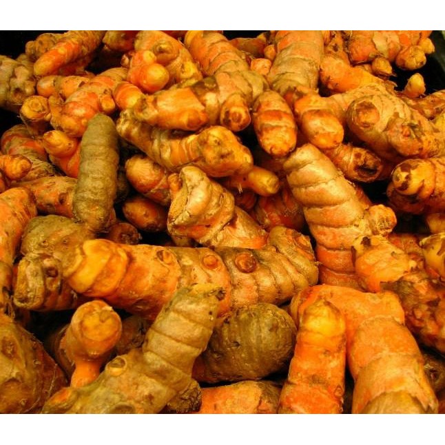 

Terlaris Kunyit/Kunir Kuning Segar 250 Grm