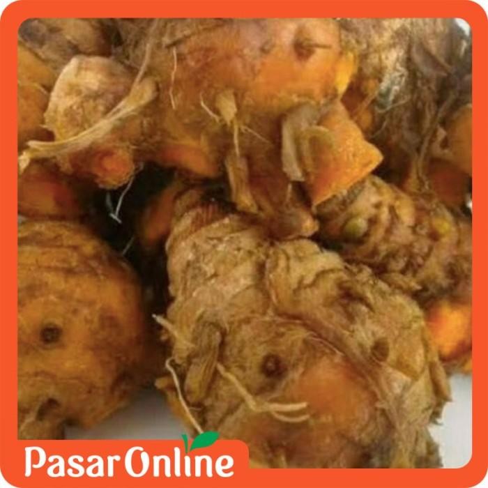 

Terlaris Biang Kunyit / Induk Kunyit / Kepala Kunyit / Bumbu Dapur