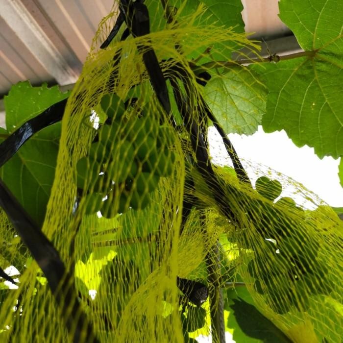 polynet, waring, jaring buah, brongsong lengkeng, eceran per 1 meter