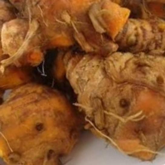 

Terlaris Biang Kunyit 500Gr