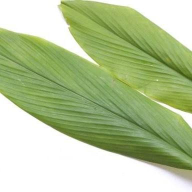 

Terlaris Daun Kunyit Segar