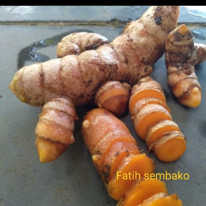 

Terlaris Kunyit Segar 1 Kg