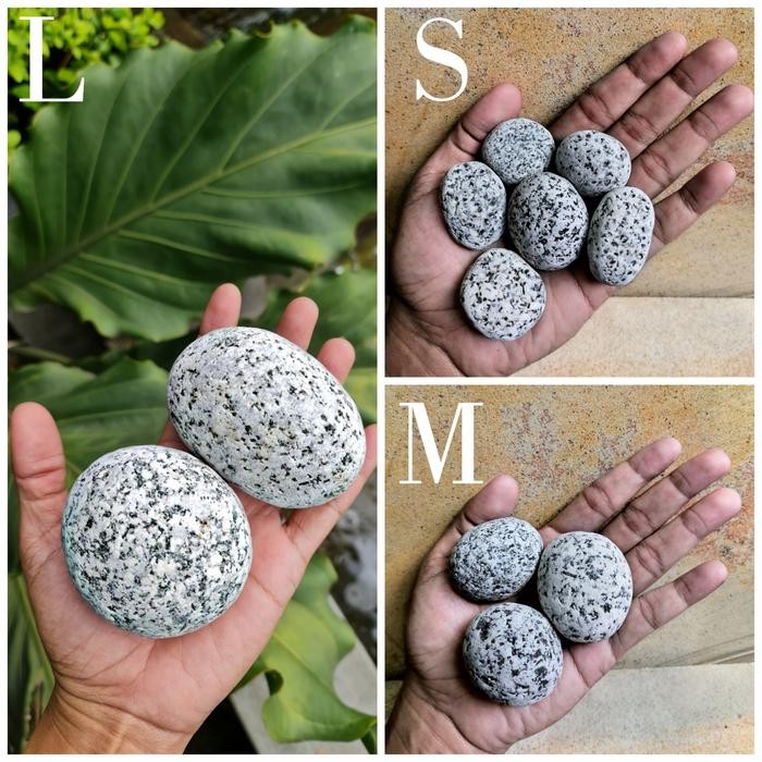 Batu Koral Telur Puyuh