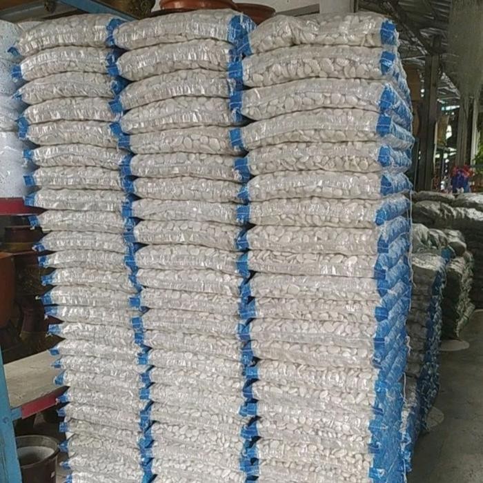 BATU KORAL PUTIH KECIL / BATU HIASAN TAMAN / AQUASCAPE VIA GOSEND GRAB