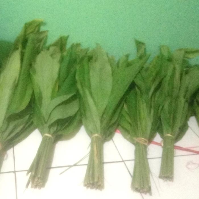 

Terlaris Daun Kunyit Segar