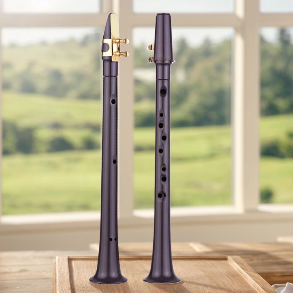 11-hole C Key Mini Pocket Saxophone with Alto Mouthpiece Ligature Reeds Dental Pads Portable Saxopho