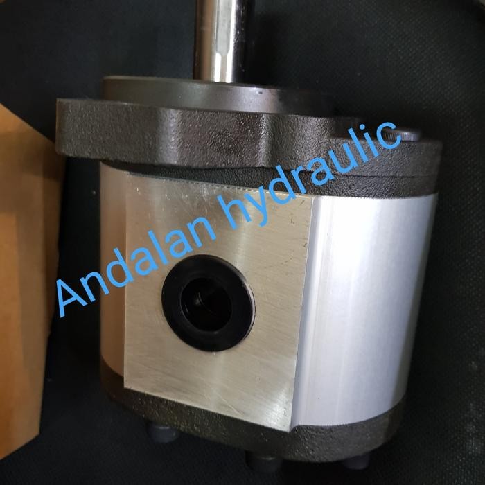 Spesial Hydraulic Gear Pump Jaguar Pg30-34-Rar01 / Pg30