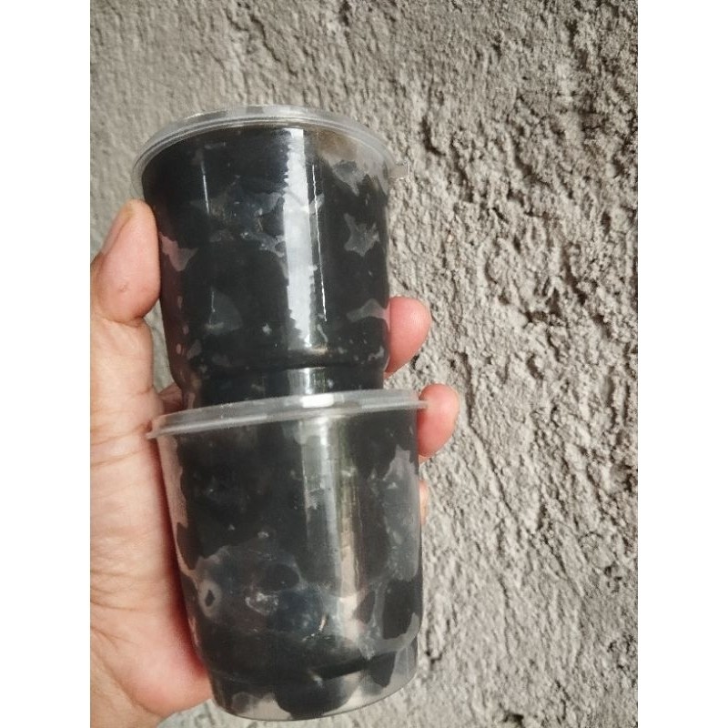 

Sensasi Lezat Petis Udang Siap Saji Khas Semaramg 150Gr Paling Enak,