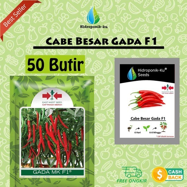 [Allthebest] Bibit /Benih Cabe Besar Gada F1 isi ( 50 biji ) REPACK Hidroponik ku
