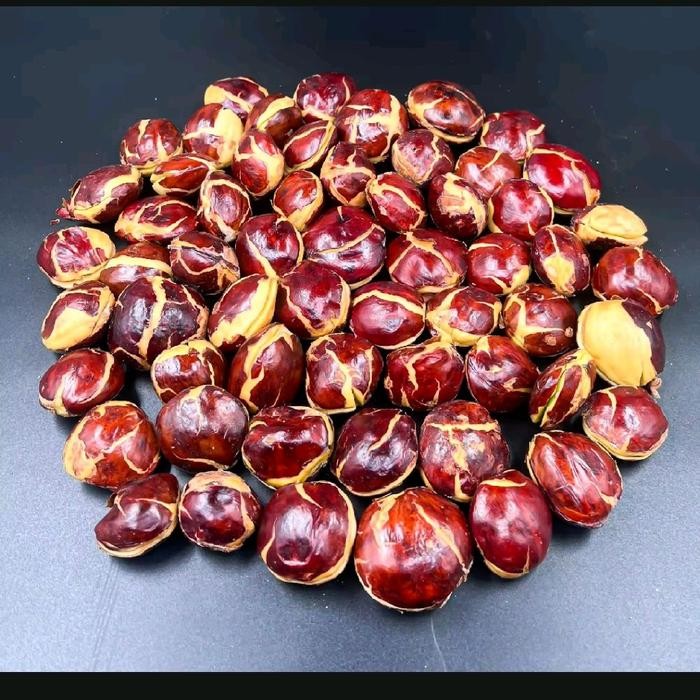 

JENGKOL FULL TUA SUPER PEREMIUM 1KG Segar Kecombrang Herbal Makanan Food Cemilan Crispy Pedas