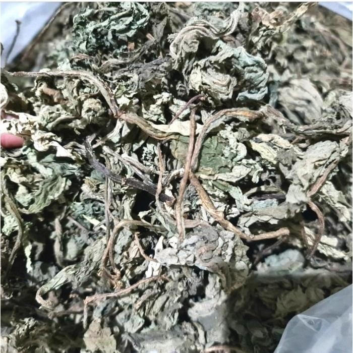 

TERMURAHH!! Daun Insulin Kering Asli 100gr