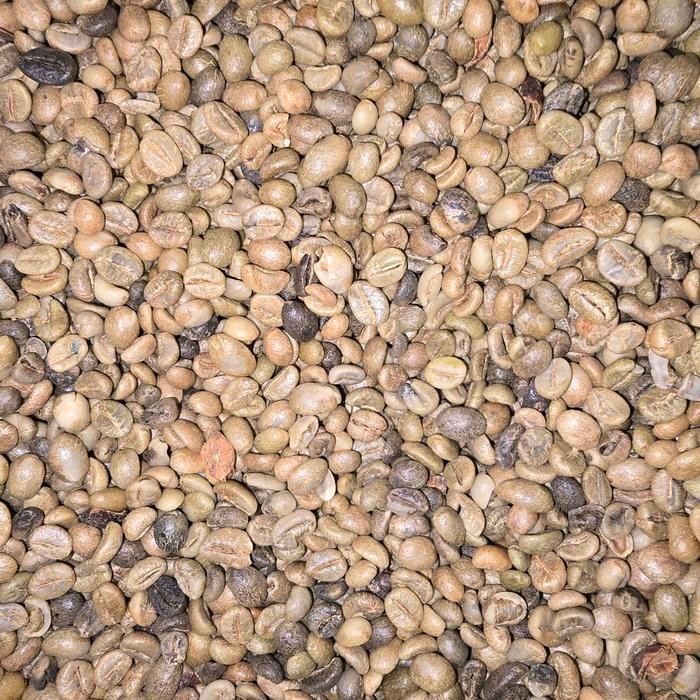 

Green Bean Kopi Robusta Asalan G3 A- 1Kg -Natural Proses- (GRATIS ONGKIR)