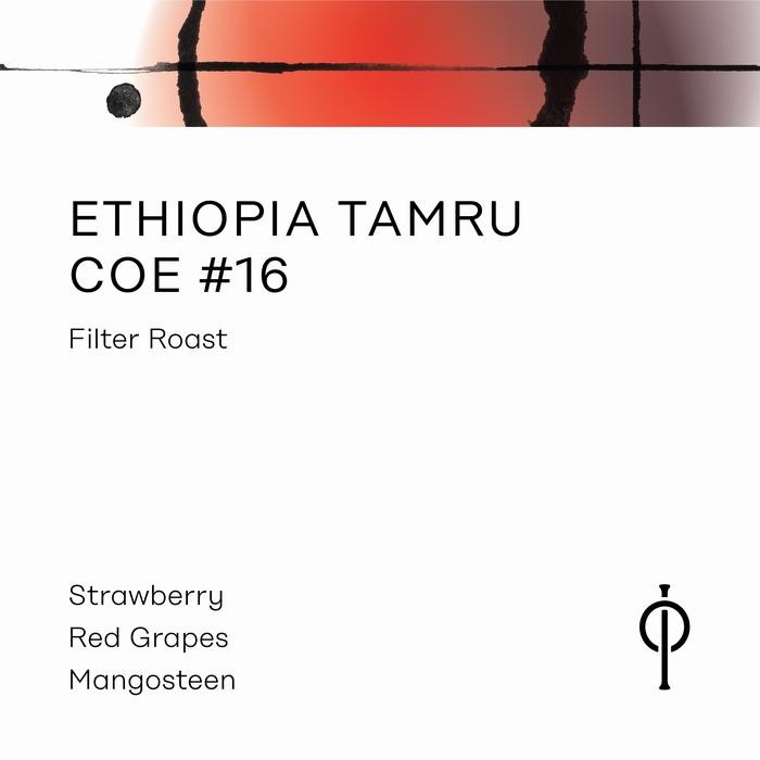 

Ethiopia Tamru COE #16 - Natural