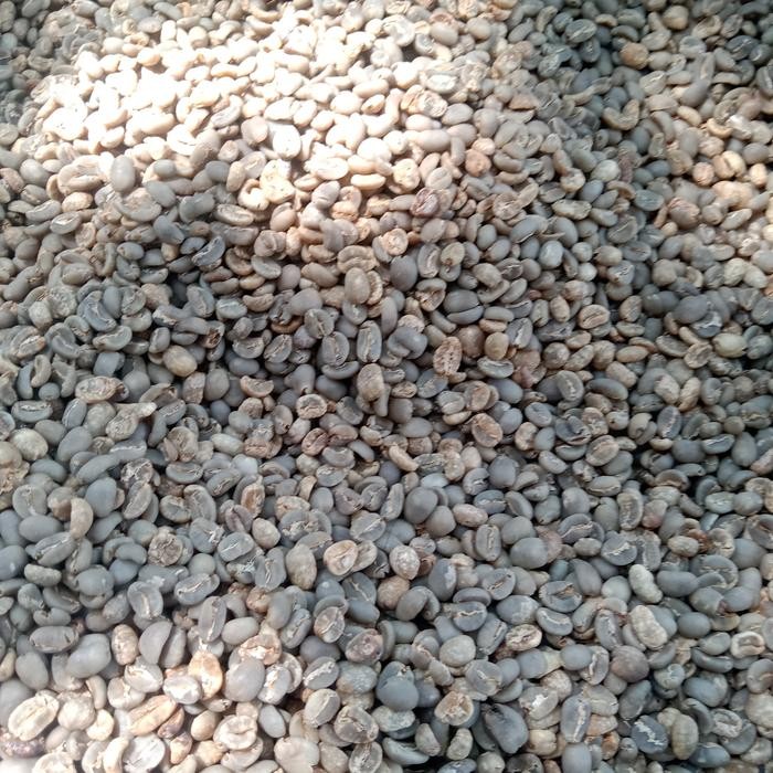 

Green Bean / Biji kopi Arabika Kerinci semi wash/greenbeans wethull