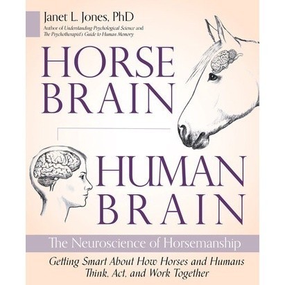 

New Release_Eng/Indo_Horse Brain, Human Brain The Neuroscience