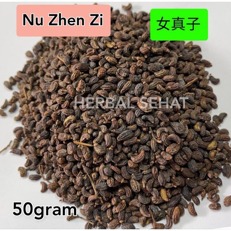 

Nu Zhen Zi 50 Gram Fructus Ligustri Lucidi PREMIUM