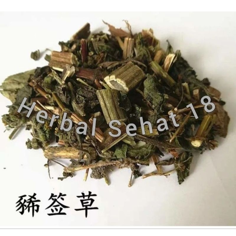 

100 gr - Xi Xian Cao Xi Xian Cao HERBA SIEGESBECKIAE SIEGESBECKIA ORIENTALIS L PREMIUM