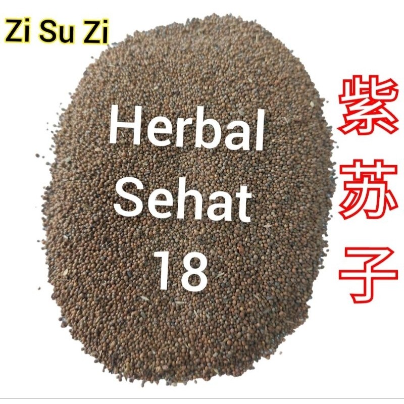 

100 gram Zi Su Zi - Perilla Seed - - Fructus Perillae Frutescentis - Ci Su Ci PREMIUM