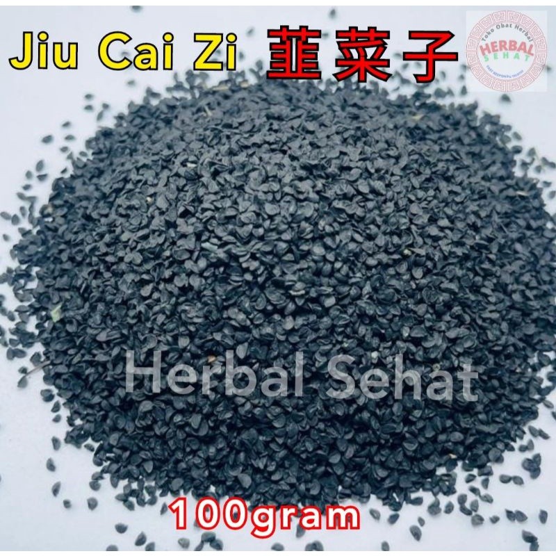 

Jiu Cai Zi Chinese Leek Seed - Tuber Onion Seed - Kiu Choi Ci PREMIUM