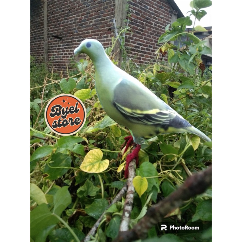Jontrot Burung Punai Hijau Jantan - Patung Decoy Burung Punay Hijau