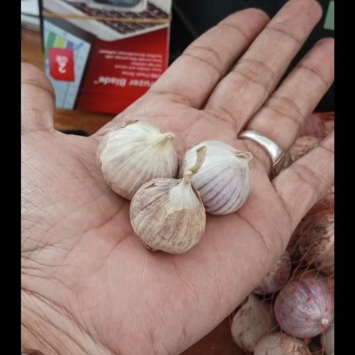 

BAWANG PUTIH TUNGGAL/BAWANG LANANG 1KG