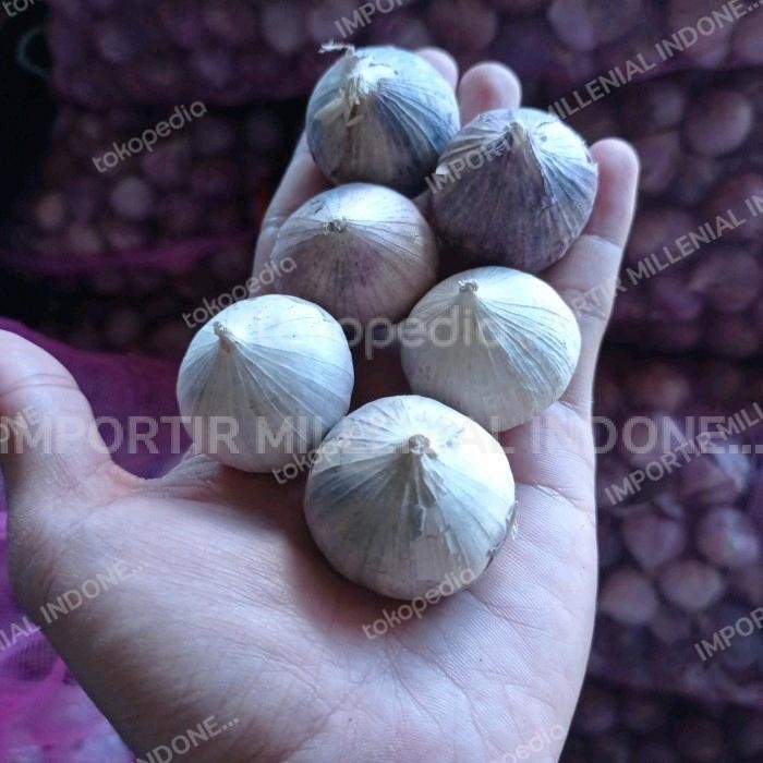 

Bawang Putih Tunggal / Lanang - 1 KG JUMBO
