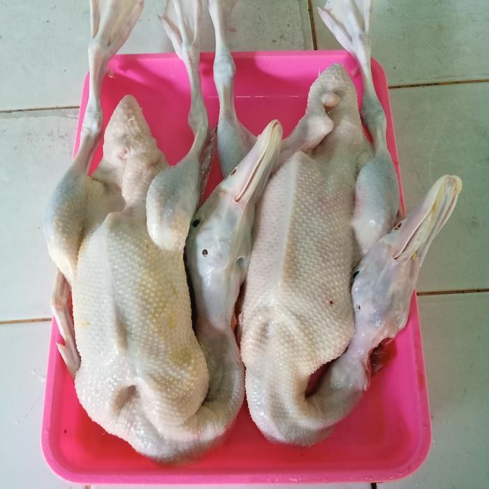 

Bebek Fresh Promo