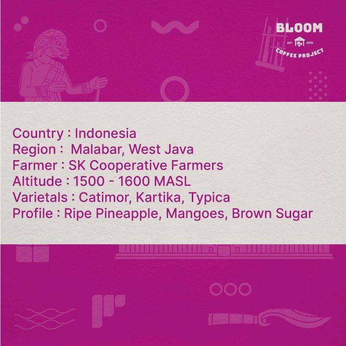 

Biji Kopi Goldenberry - Malabar Bodjongwaroe - West Java - Fruit Fermentation Natural Best Seller