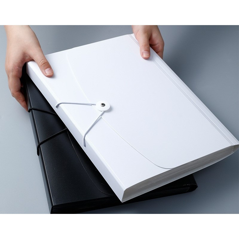 

Expanding File / Organ Bag A4 - 13 Pockets WE!!