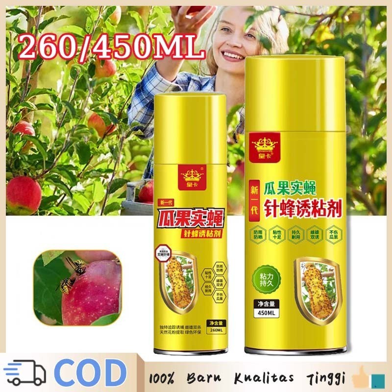 Jebakan Lalat Buah Lem Perekat Lalat Lem Lalat Lem Untuk Lalat Buah