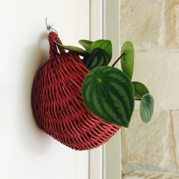 Vas Bunga rotan Dinding Pot Bunga Gantung tempel